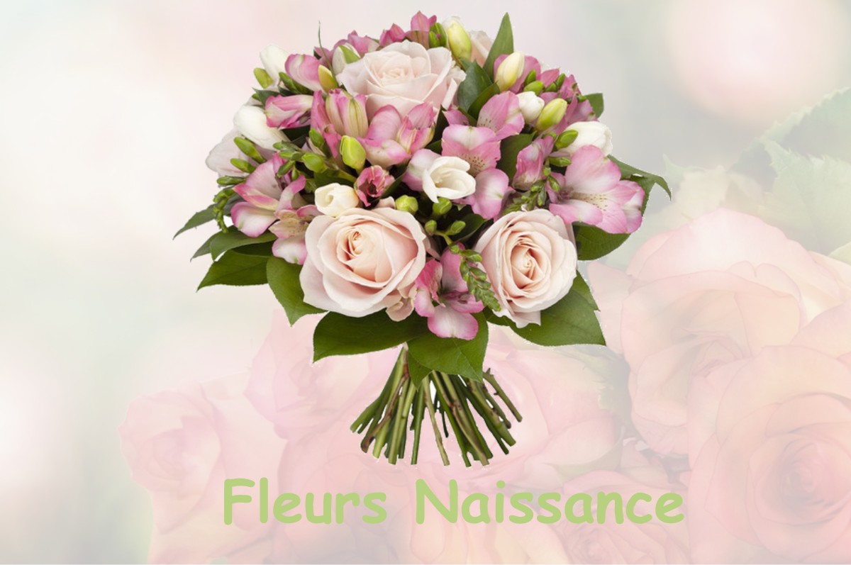 fleurs naissance CHAUVENCY-SAINT-HUBERT