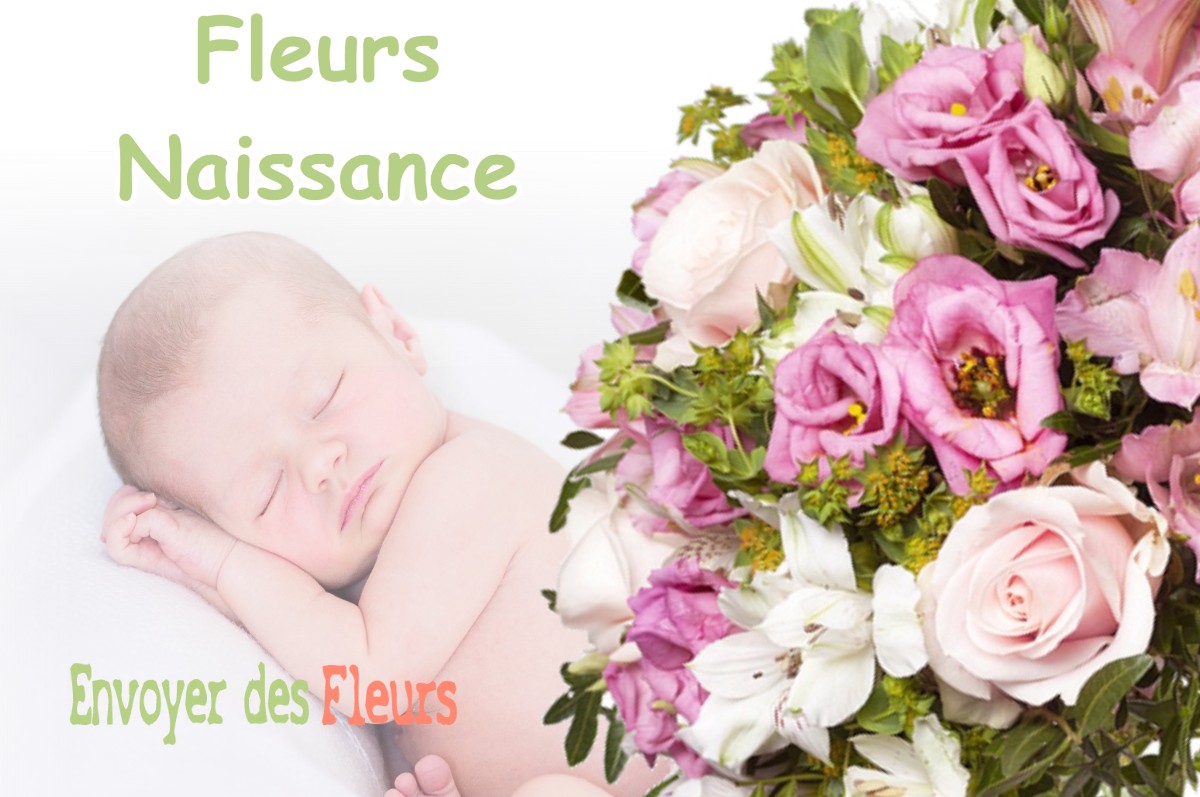 lIVRAISON FLEURS NAISSANCE à CHAUVENCY-SAINT-HUBERT